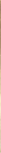 Listello Brass 1x100