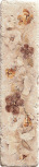 Listello Travertino 5x20  