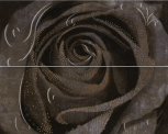 Decor Rosa-2 Grafito 40x50