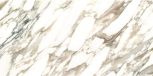 MACCHIA VECCHIA/60x120/EP 60120