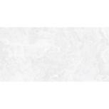  60X120 
