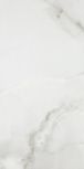 FENIX Gris 60x120