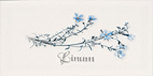 Decor Linum Blanco 10x20