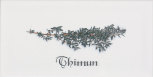 Decor Thimun Blanco 10x20