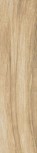 Eco Dream Miele 22,5x90