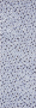 Mosaic Azul 20x60