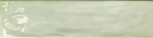 Nature Sage   10 &#215; 40