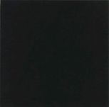 Monocolor Negro 31,6x31,6  