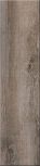 Oak Moss 15x61