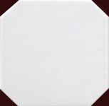 Octagon Blanco Mate 20x20