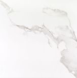 Palace Carrara 59x59 