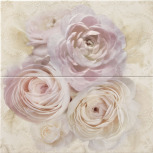 Dec Savona-2 50x50 