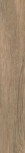 Paramo-R Beige 19,2x119,3 