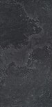 Peitra Lavica Gryphea  Lap RT 24,5x49  