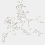 Primavera Platinum 20x20