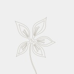 Primavera Platinum 20x20