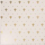 Poeme Oro Ornato 20x20  