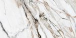 CALACATTA PAONAZZO POLISHED RECT 60X120