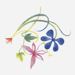 Primavera Colore-2 20x20 Bianco Extra