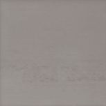 Pulido Argon 40x40
