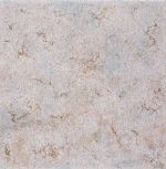 Rhin Gris 33,3x33,3