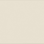 Time Beige 41,541,5
