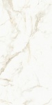 VENATO GOLD 44,589
