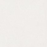 Seine-R Blanco Antideslizante 59,3x59,3