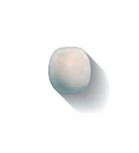 SI AE 08 Angolo Esterno Sigaro Panna 2,5x2,5
