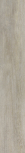Signoria Decape Lapp. Rett. 16,5x100