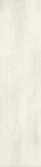 Signoria Larice Lapp. Rett. 25x100