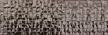 SOLID SILVER FOCUS MATE 25,1X75,6