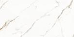 Venato calacatta gold  60x120