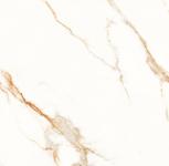 Venato calacatta gold  60x60