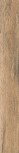 Stage Pointe Walnut 7,4x60