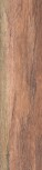 Stage Pointe Walnut 15x60