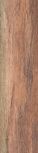 Stage Pointe Walnut 25x100