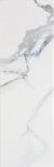 Statuario Blanco 25,1x75,6 