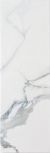 Statuario Blanco 25,1x75,6