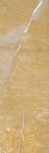 Statuario Gold 25,1x75,6