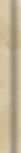Steam Beige Bordura 3,5x20 