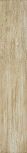 Euphoria Tavella Legno 8x45