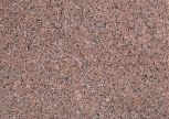 Toro Musgo 33,3x44,7