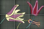 Tuli-Pop-2 20x20 
