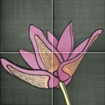 Tuli-Pop-2 20x20 