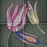 Tuli-Pop-2 20x20 