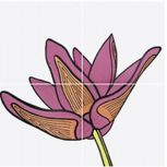 Tuli-Pop-1 20x20 