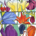 Tuli-Poni Cenefa Mix3 10x30 