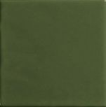 Fondo Verde Alga 12,5x12,5 