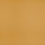 VICTORIAN OCRE 20x20